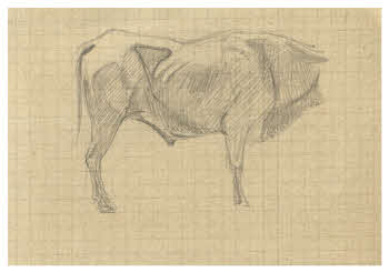 Visualizza l'immagine "FD D 347"